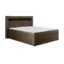 AN - Moebel 4u Boxspringbett LUI GOLD in Braun, Liegefläche 140x200 cm – mit Bettkasten, Bonellfederkern