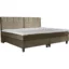 Esposa Boxspringbett BOXSPRINGBETT in Greige, Liegefläche 240x200 cm – mit Bettkasten, Tonnentaschenfederkern